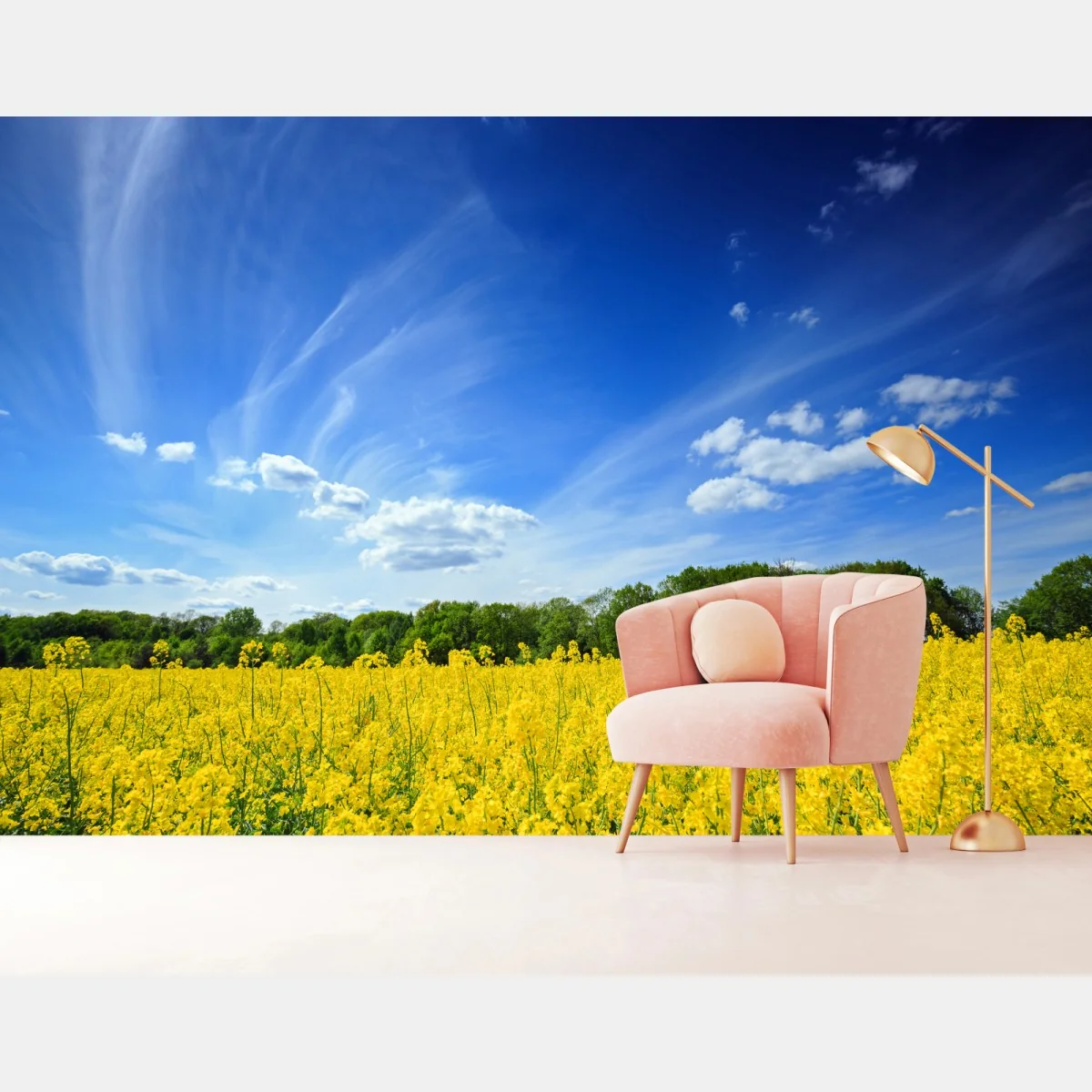 Fototapete polnisches rapsfeld unter blauem himmel – Wallnifity® Fototapete polnisches rapsfeld unter blauem himmel – Wallnifity®