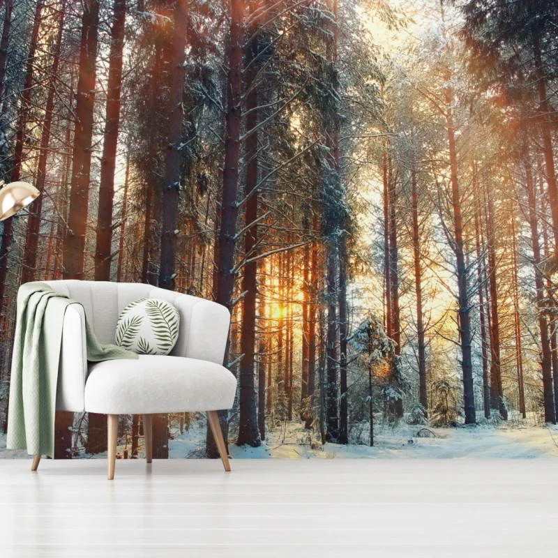 Fototapete winterwald im morgendlichen licht – Wallnifity® Fototapete winterwald im morgendlichen licht – Wallnifity®