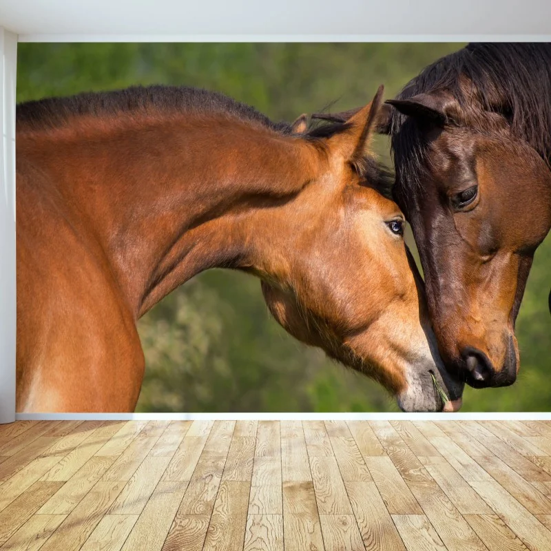 Fototapete zärtliche pferdefreundschaft