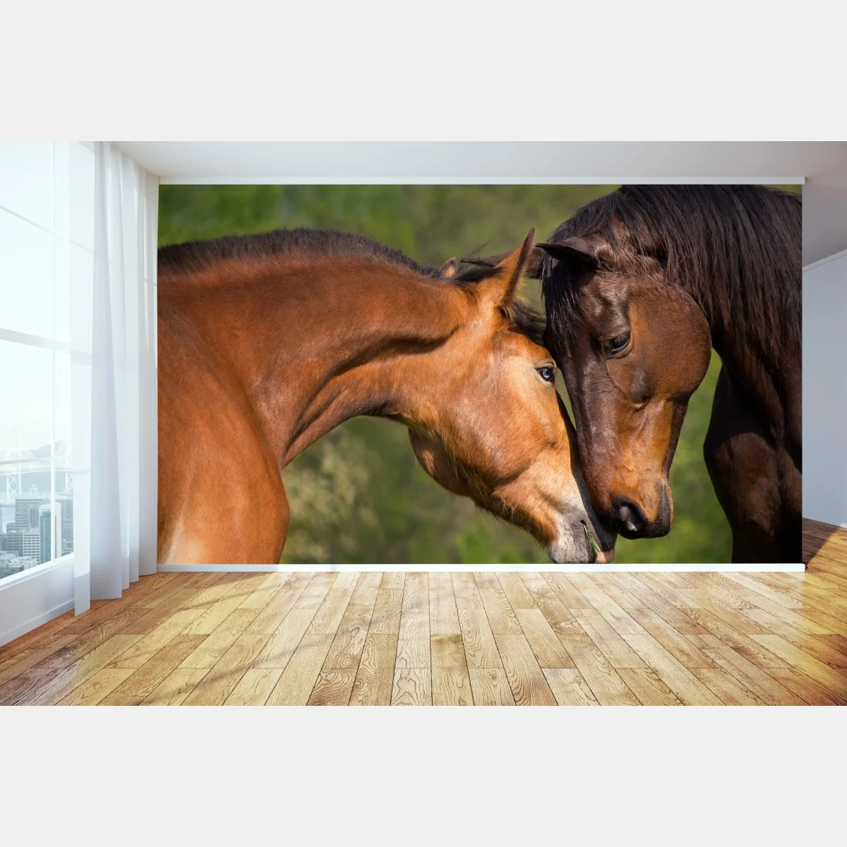 Fototapete zärtliche pferdefreundschaft – Wallnifity®