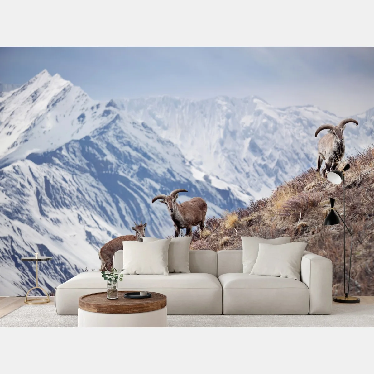 Fototapete wilde blaue schafe an einem hang im Himalaya, Manang, Nepal – Wallnifity® Fototapete wilde blaue schafe an einem hang im Himalaya, Manang, Nepal – Wallnifity®