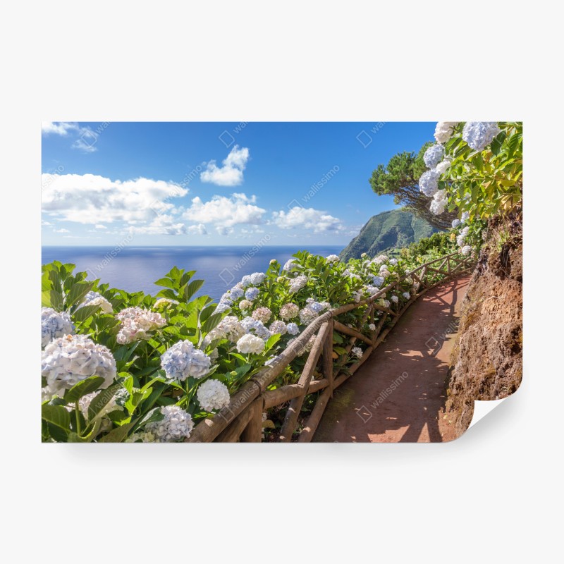 Fototapete rosa aquarell blumenmuster auf dunklem hintergrund – Wallnifity®