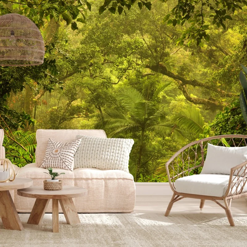 Fototapete üppiges regenwalddach bei Cairns – Wallnifity® Fototapete üppiges regenwalddach bei Cairns – Wallnifity®