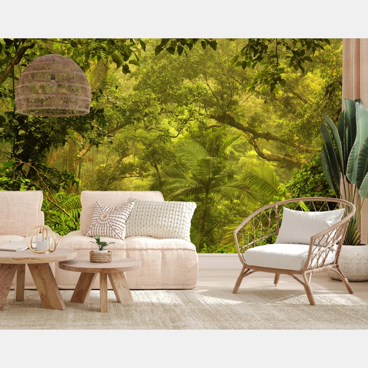 Fototapete üppiges regenwalddach bei Cairns – Wallnifity® Fototapete üppiges regenwalddach bei Cairns – Wallnifity®