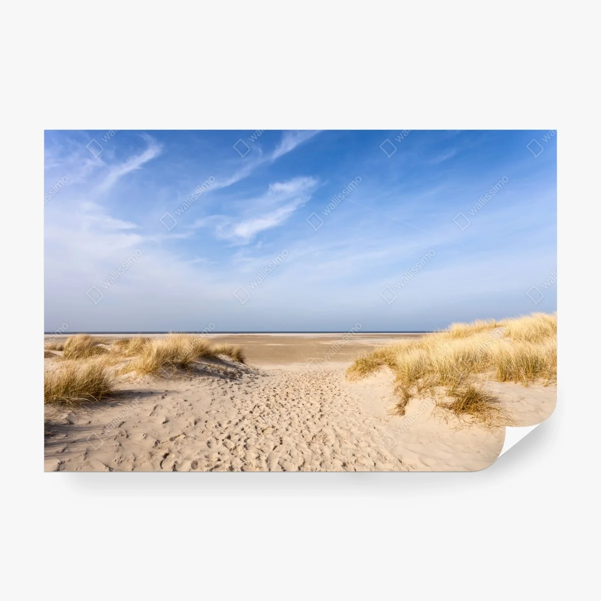 Fototapete ruhige dünen an der deutschen küste – Wallnifity®