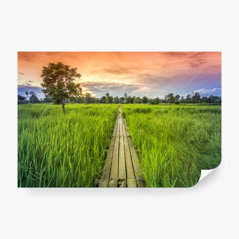 Fototapete goldene tropische blätter line art – Wallnifity®