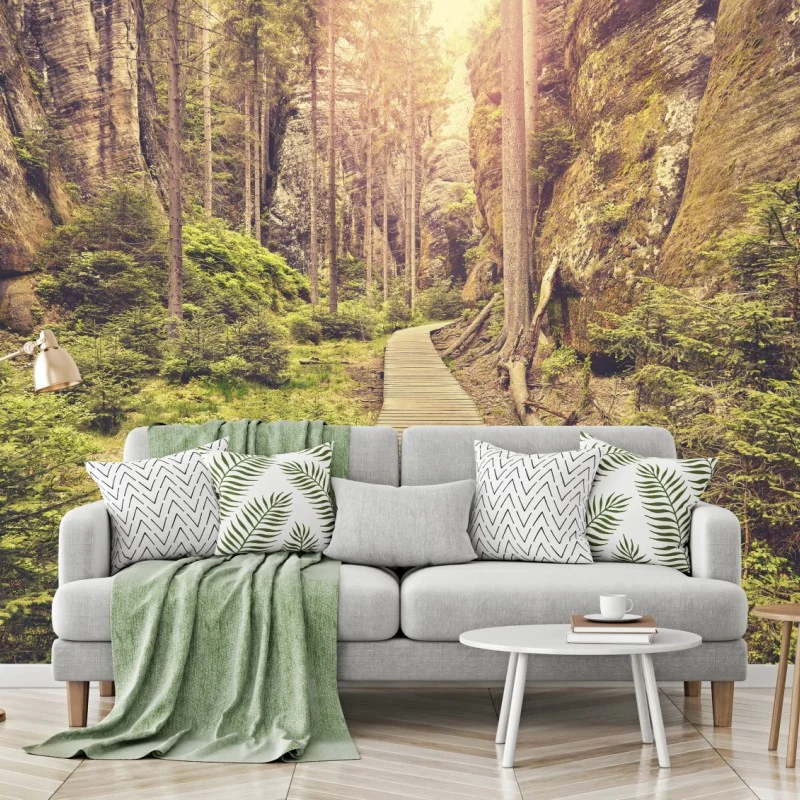 Fototapete sonniger holzsteg in Adrspach Teplice