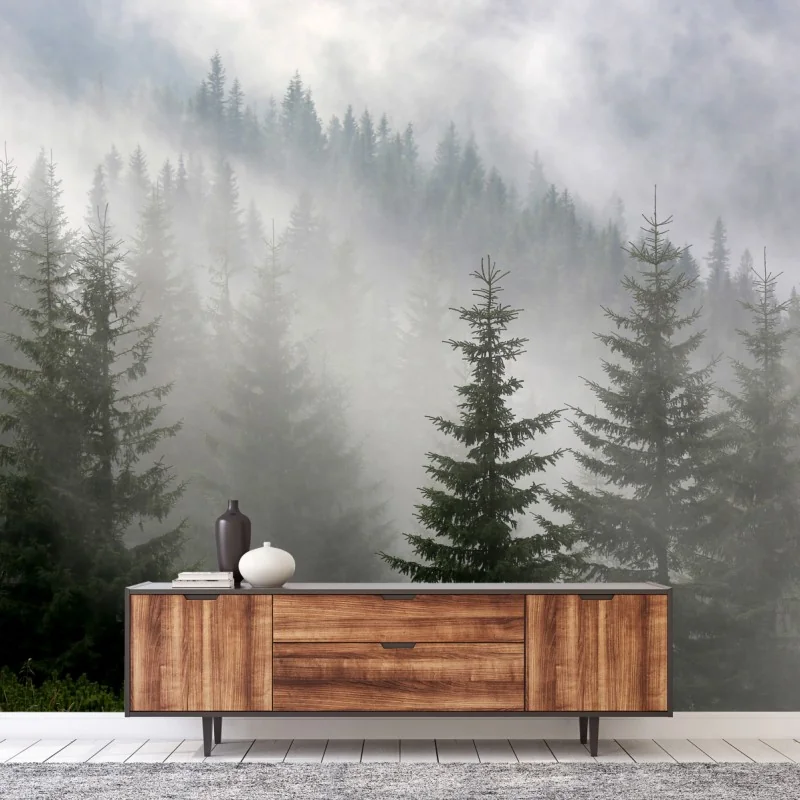 Fototapete nebliger kiefernwald im morgengrauen