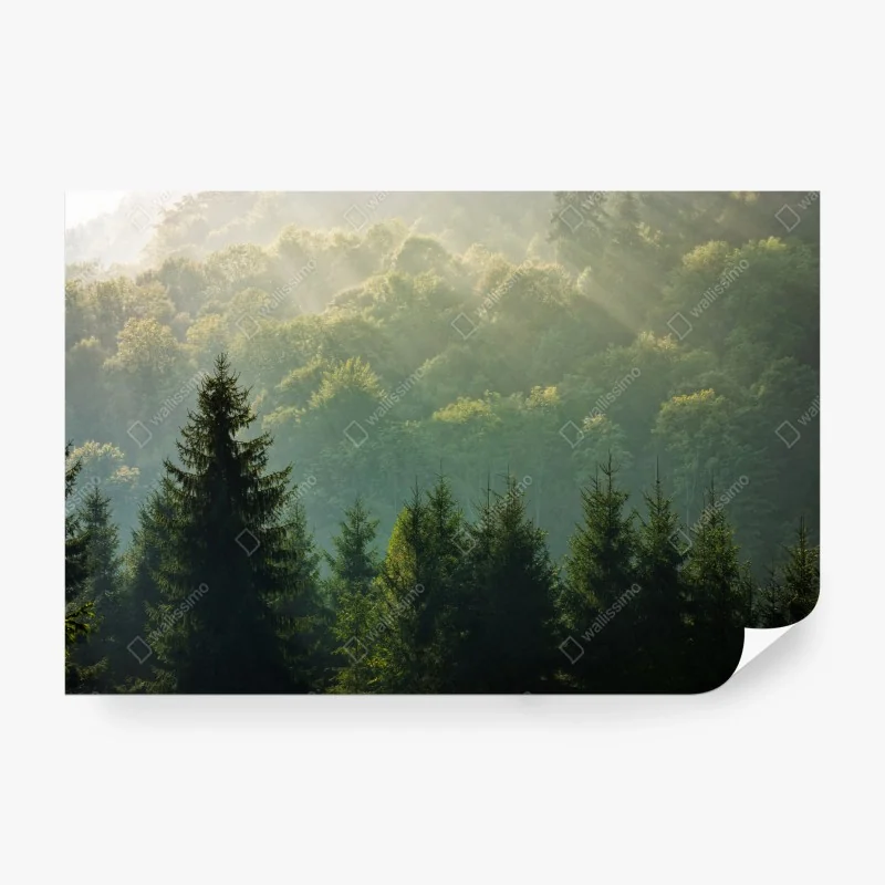 Fototapete verspieltes sportmuster auf dunkelblauem hintergrund – Wallnifity®