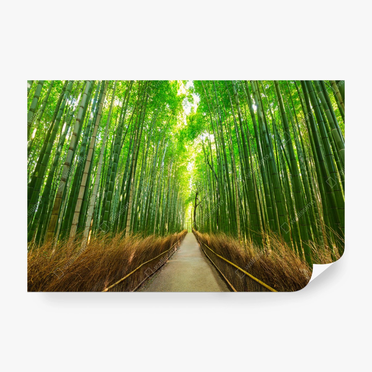 Fototapete ruhiger bambusweg in Kyoto – Wallnifity® Fototapete ruhiger bambusweg in Kyoto – Wallnifity®