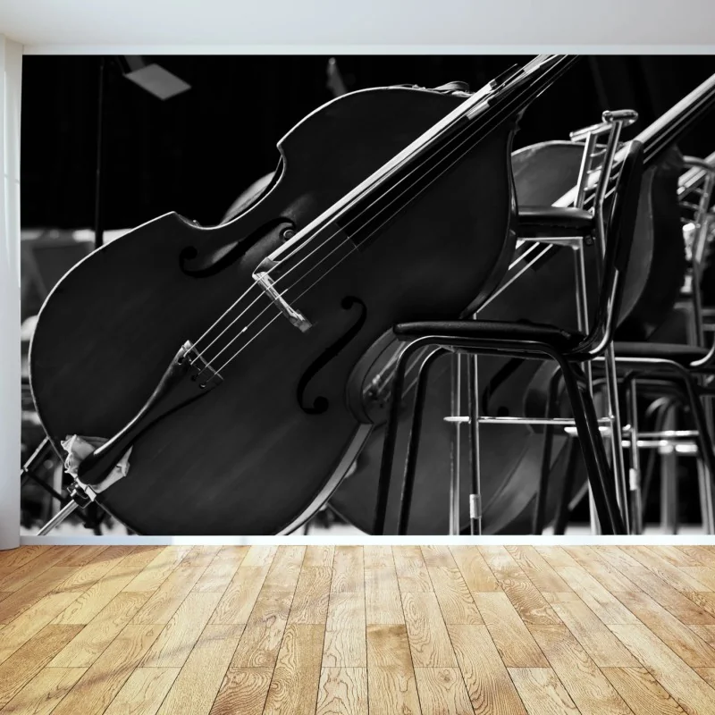 Fototapete monochrome kontrabässe im orchester – Wallnifity® Fototapete monochrome kontrabässe im orchester – Wallnifity®