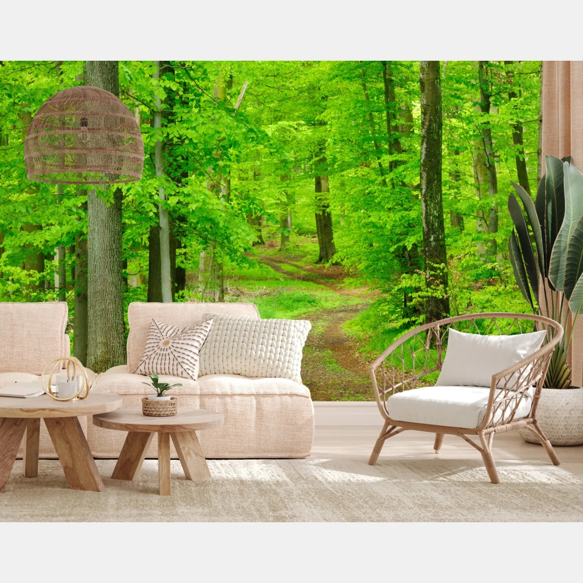 Fototapete ruhiger waldweg im frühling – Wallnifity® Fototapete ruhiger waldweg im frühling – Wallnifity®