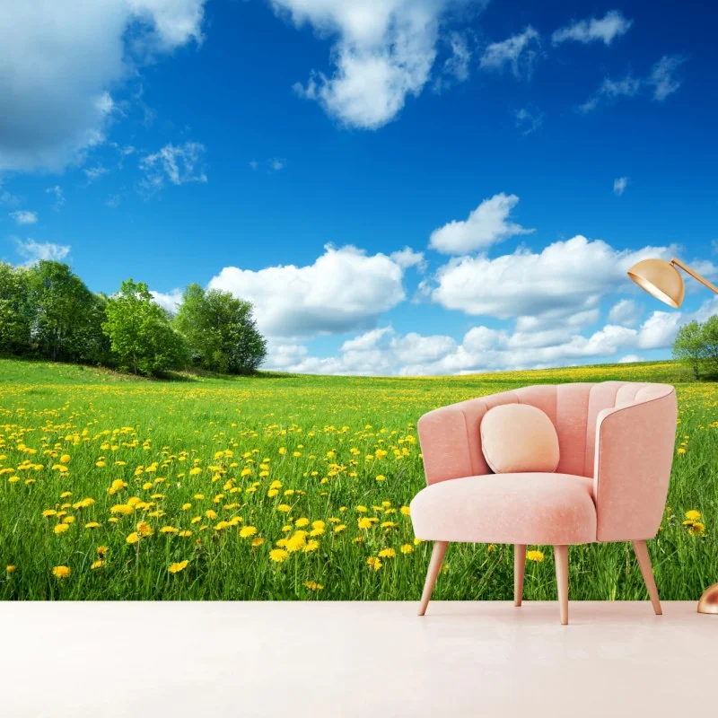 Fototapete sonnige wiese mit löwenzahn und blauem himmel – Wallnifity® Fototapete sonnige wiese mit löwenzahn und blauem himmel – Wallnifity®