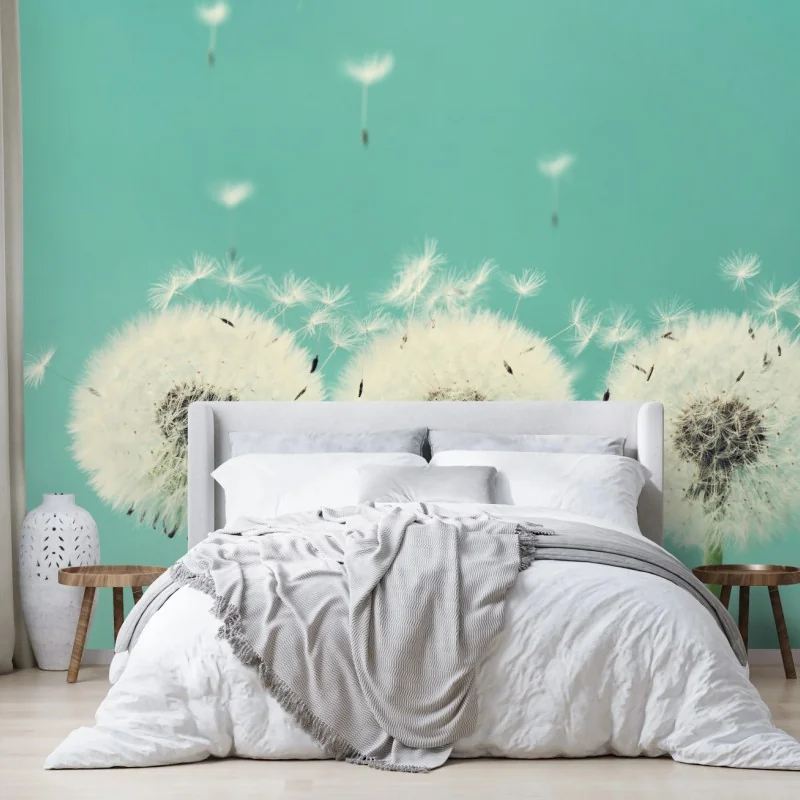 Fototapete drei löwenzahn-pusteblumen auf türkisgrund