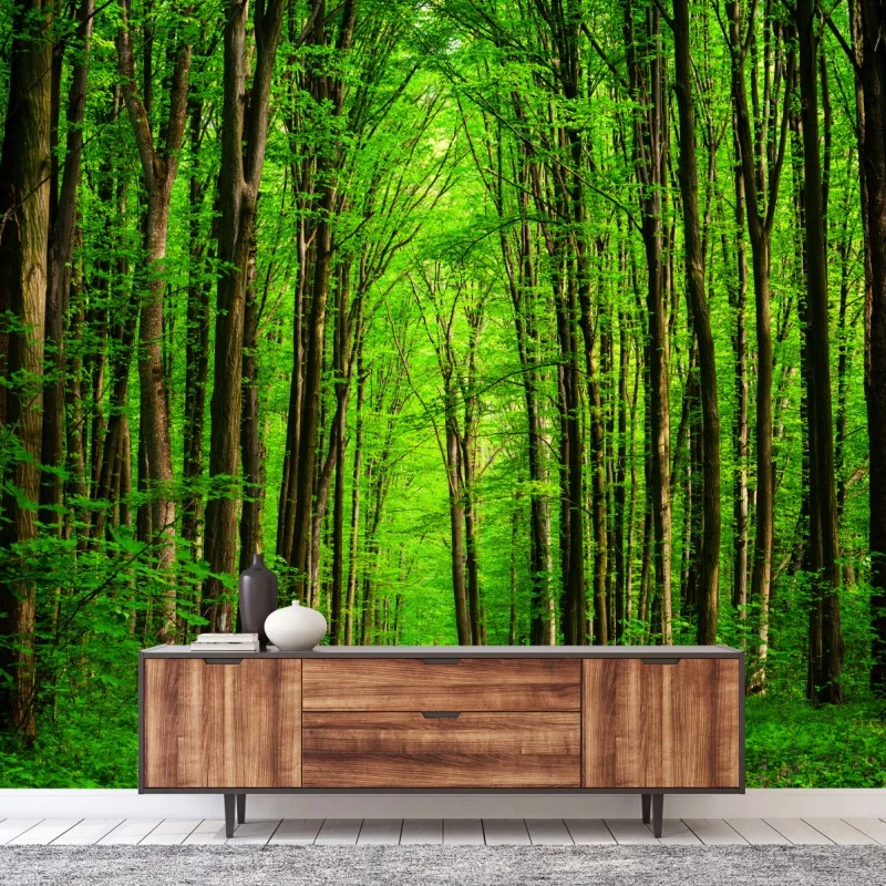 Fototapete üppiger grüner waldweg