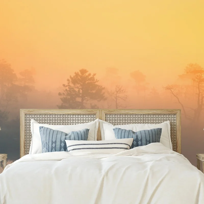 Fototapete träumerischer sonnenaufgang über nebligem moor – Wallnifity®