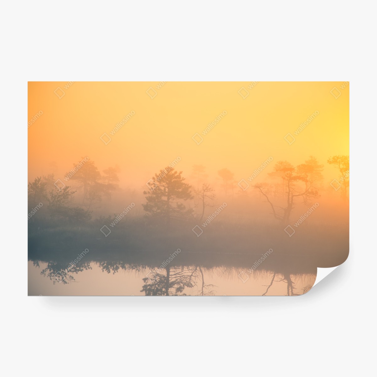 Fototapete träumerischer sonnenaufgang über nebligem moor – Wallnifity®