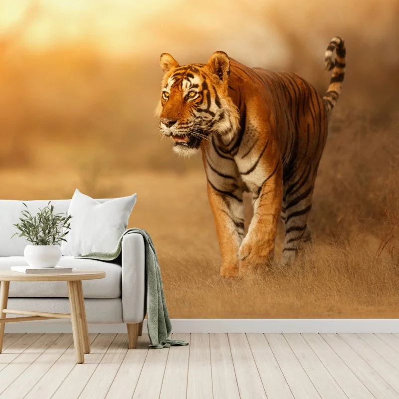 Fototapete majestätischer tiger im goldenen licht