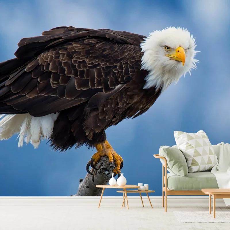 Fototapete majestätisches porträt eines weißkopfseeadlers – Wallnifity® Fototapete majestätisches porträt eines weißkopfseeadlers – Wallnifity®