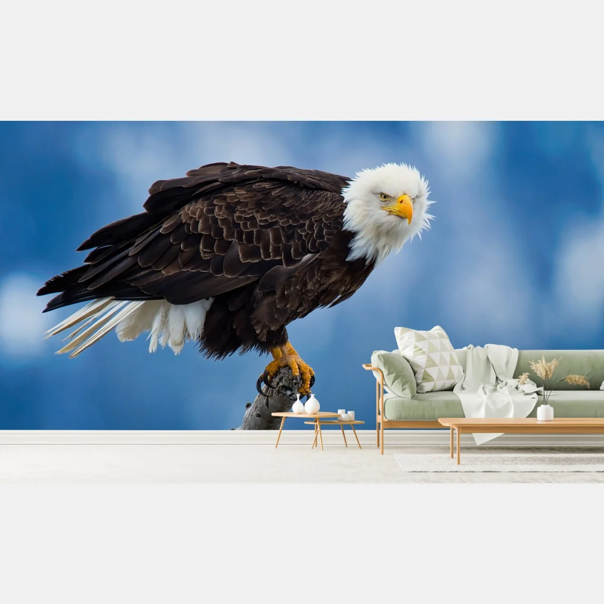 Fototapete majestätisches porträt eines weißkopfseeadlers – Wallnifity® Fototapete majestätisches porträt eines weißkopfseeadlers – Wallnifity®