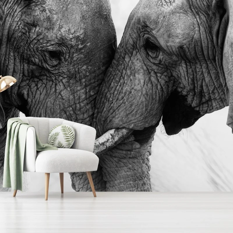 Fototapete elefanten umarmung schwarzweißes porträt