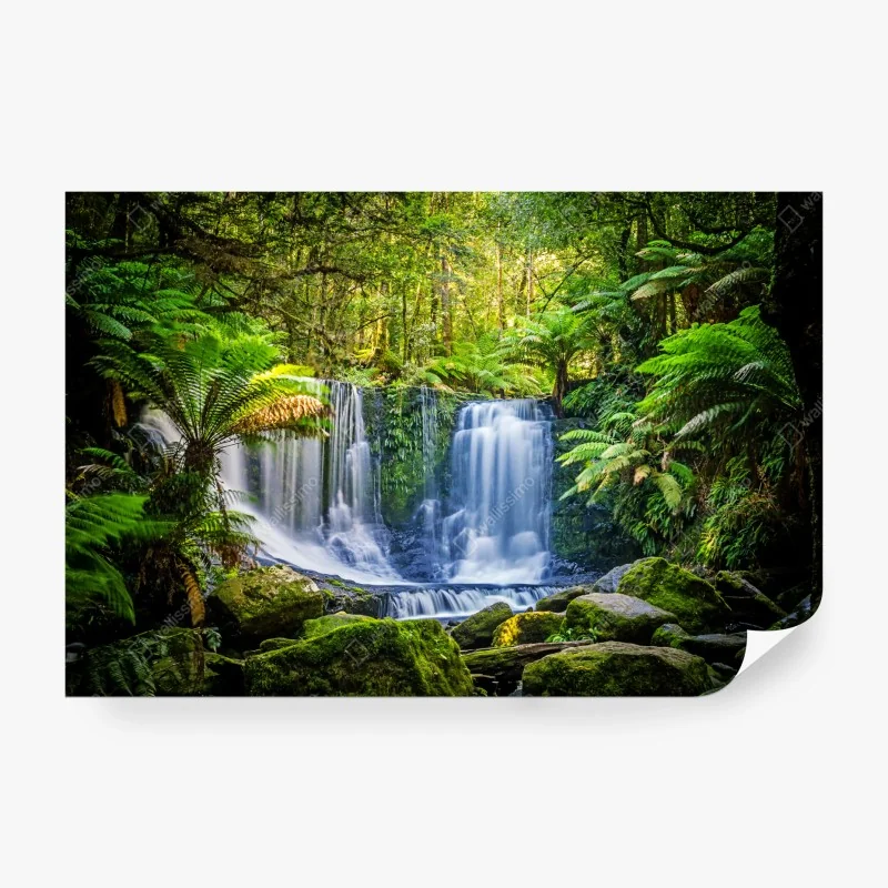 Fototapete üppiger wasserfall im Mt Field National Park, Tasmania