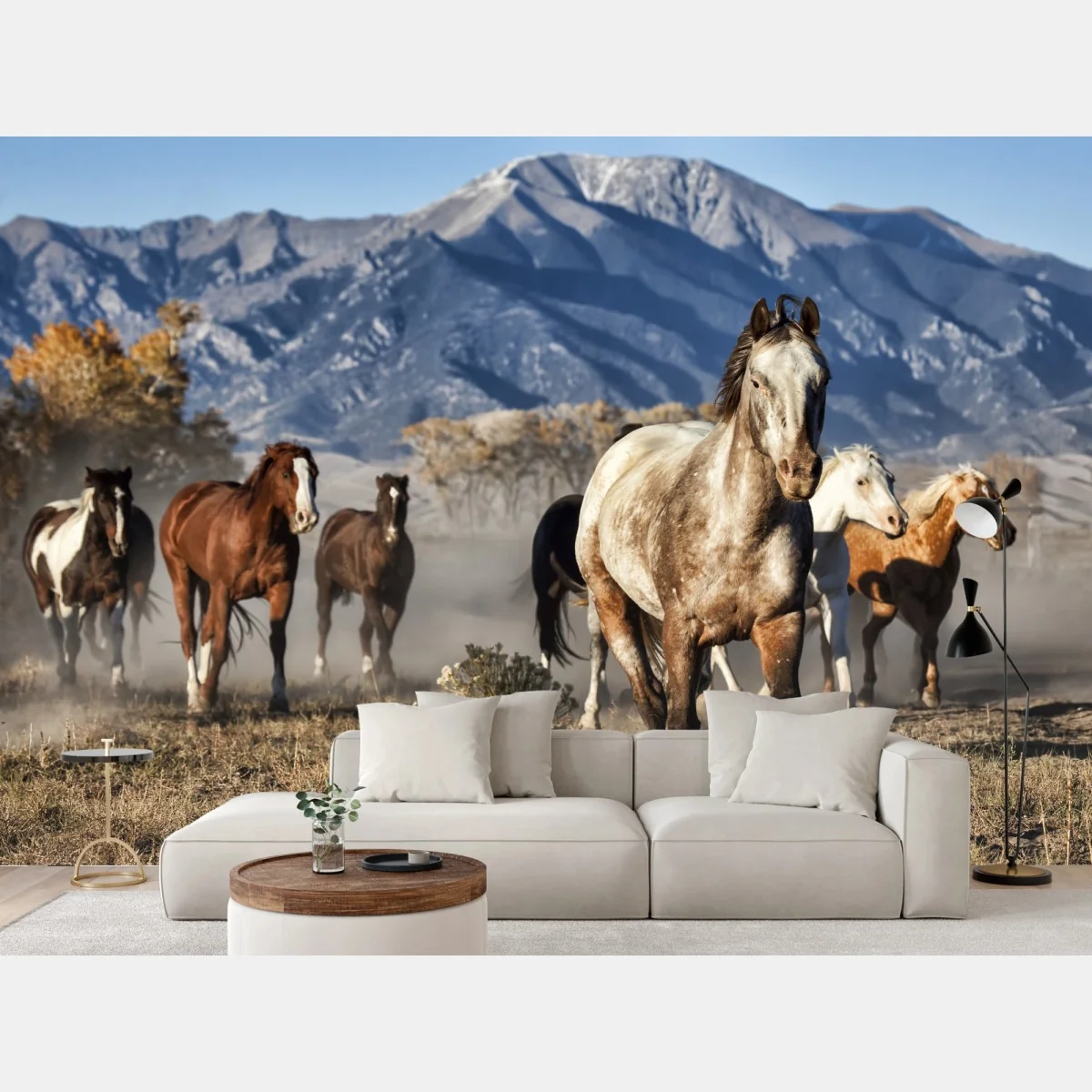 Fototapete wilde pferde galoppieren auf gebirgswiese – Wallnifity® Fototapete wilde pferde galoppieren auf gebirgswiese – Wallnifity®