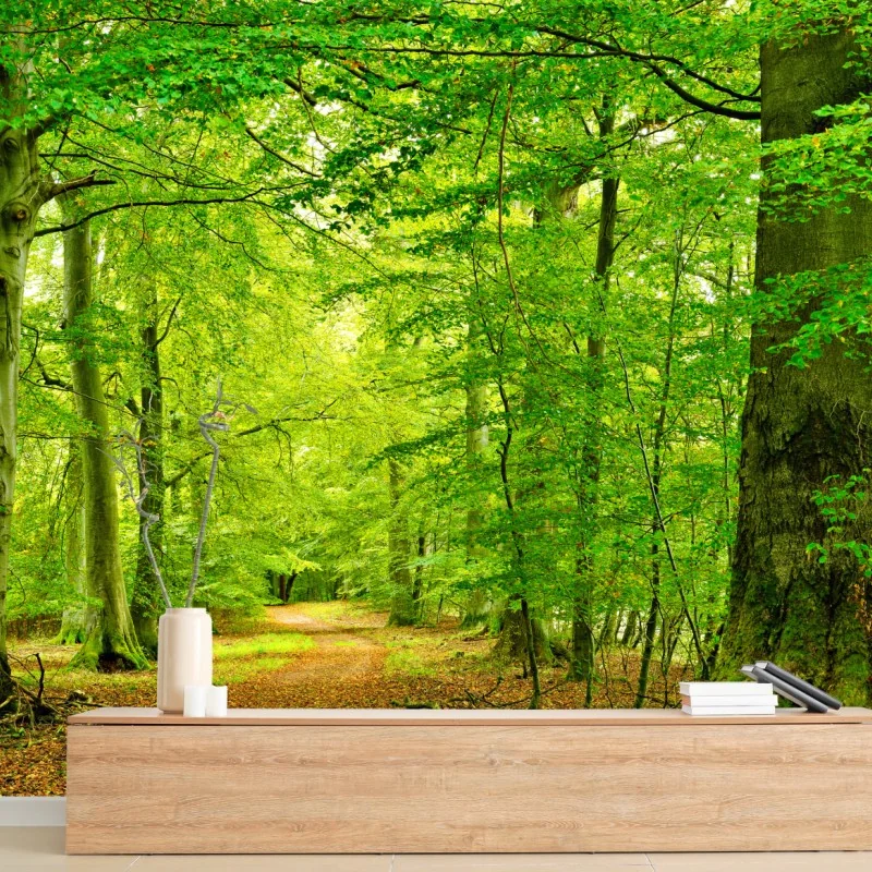 Fototapete ruhiger grüner waldpfad – Wallnifity®