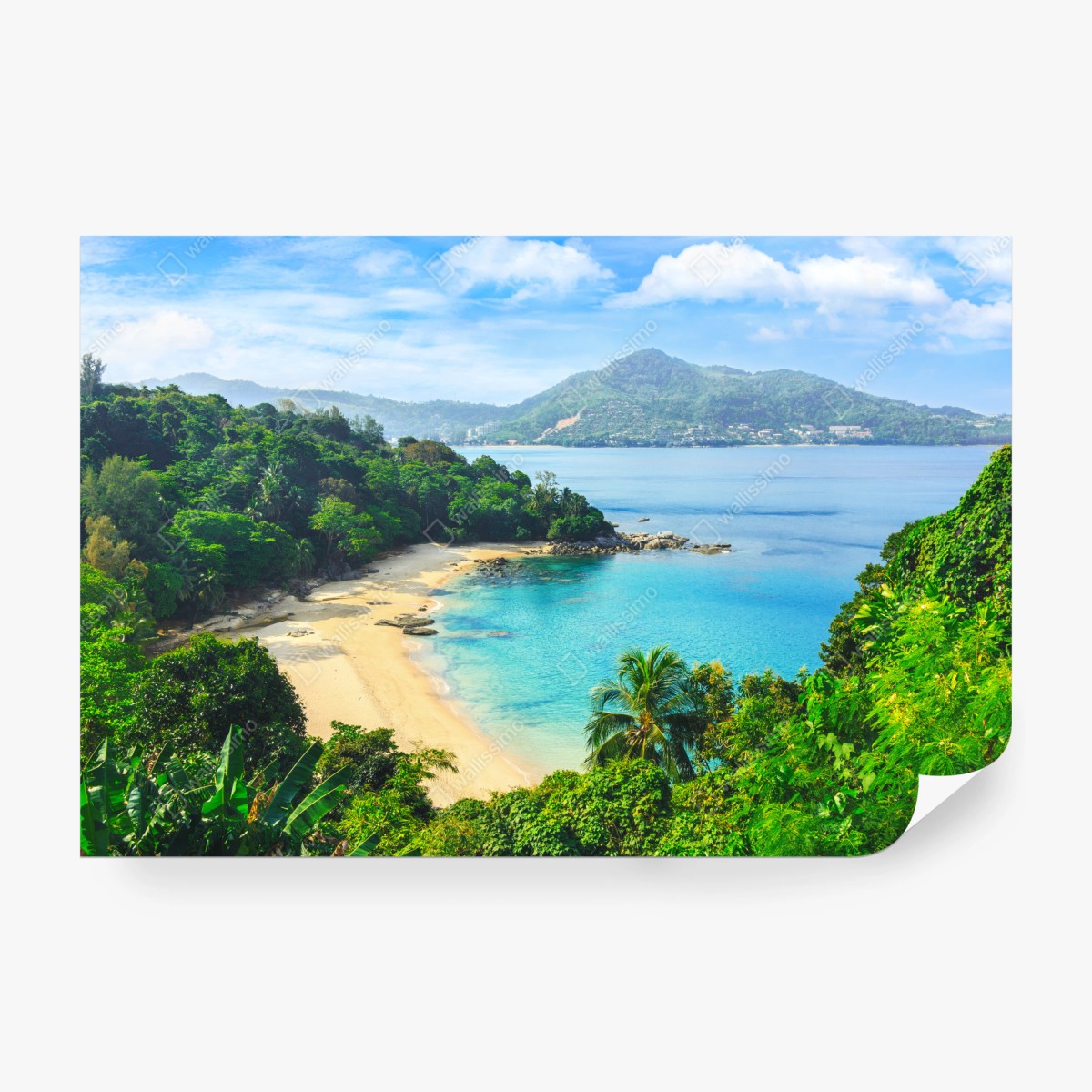 Fototapete tropische türkisbucht mit palmen – Wallnifity® Fototapete tropische türkisbucht mit palmen – Wallnifity®