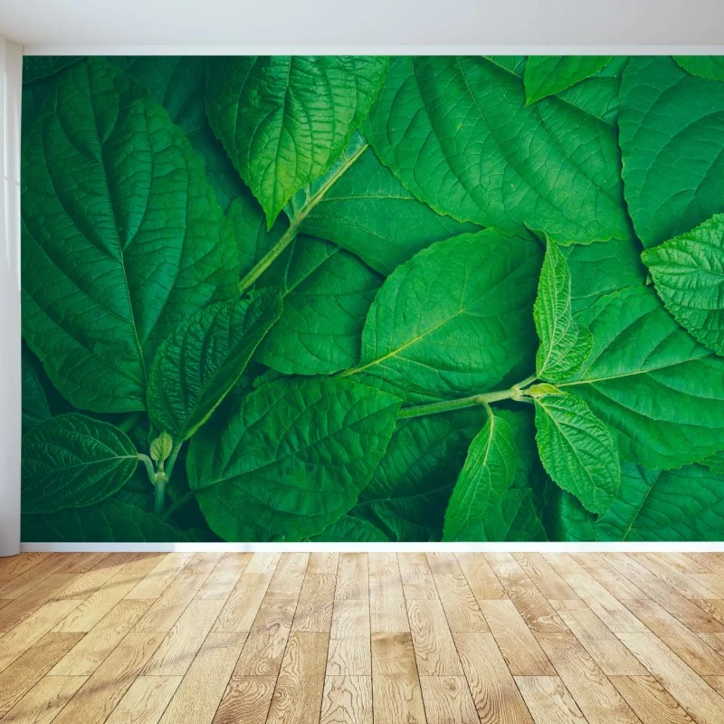 Fototapete saftige grüne blätter – Wallnifity® Fototapete saftige grüne blätter – Wallnifity®