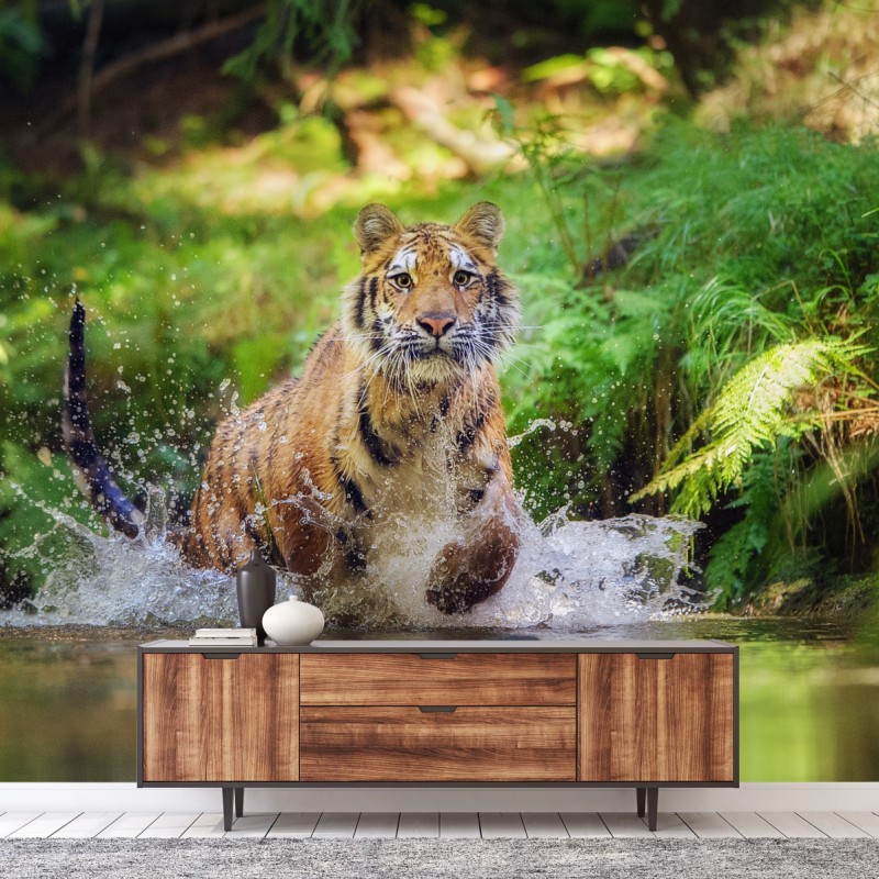 Fototapete majestätischer tiger im waldbach