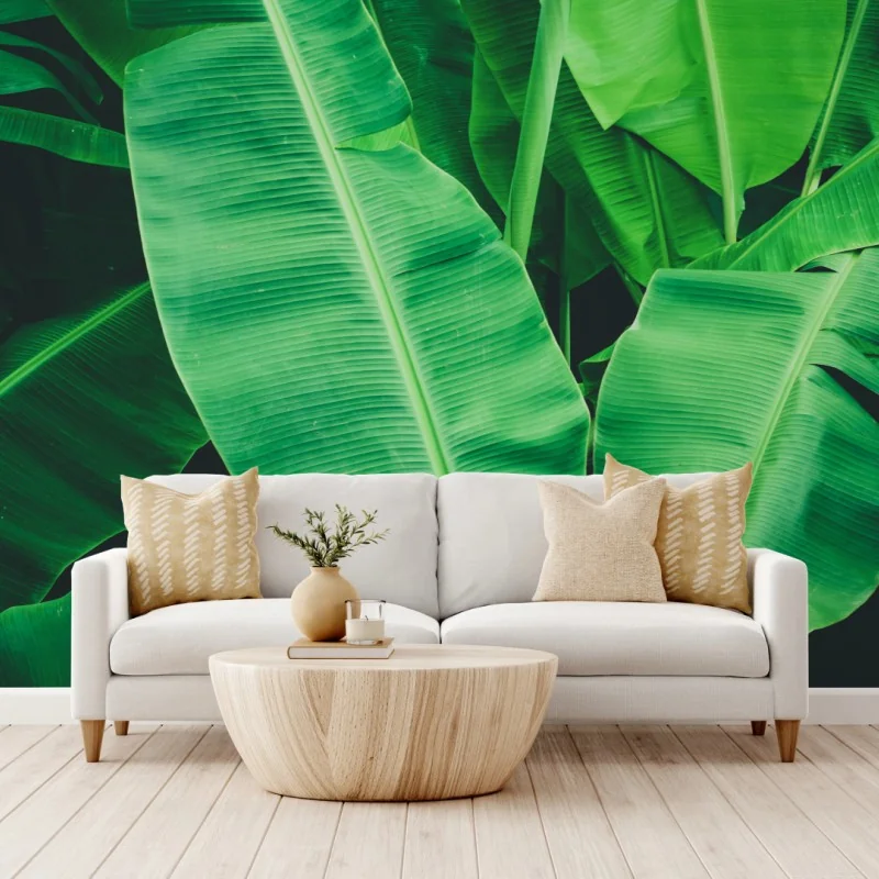 Fototapete tropische bananenblätter