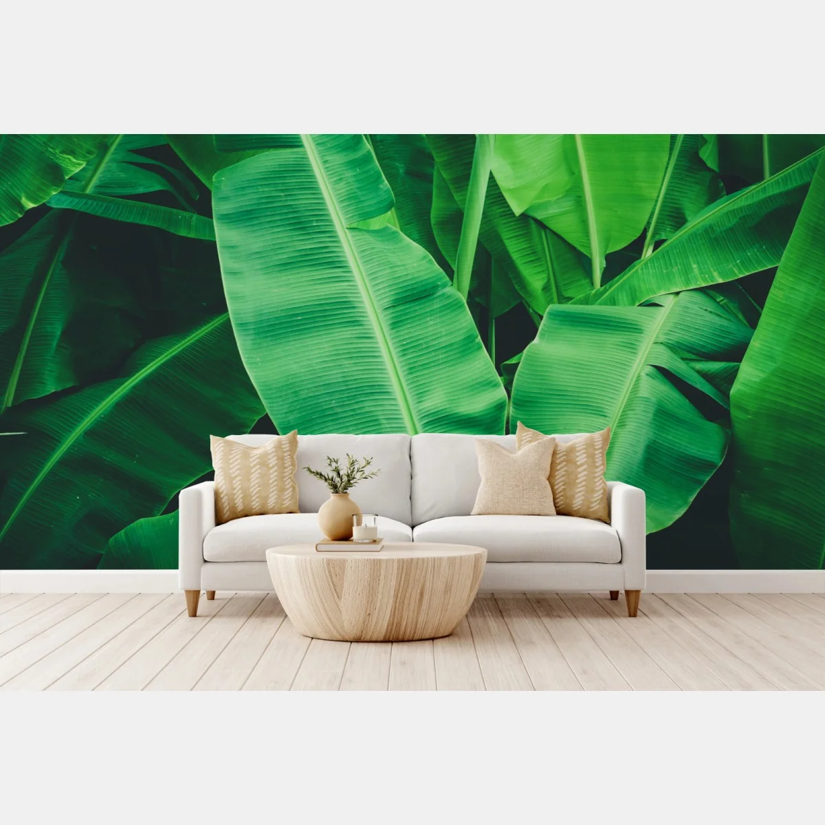 Fototapete tropische bananenblätter – Wallnifity®