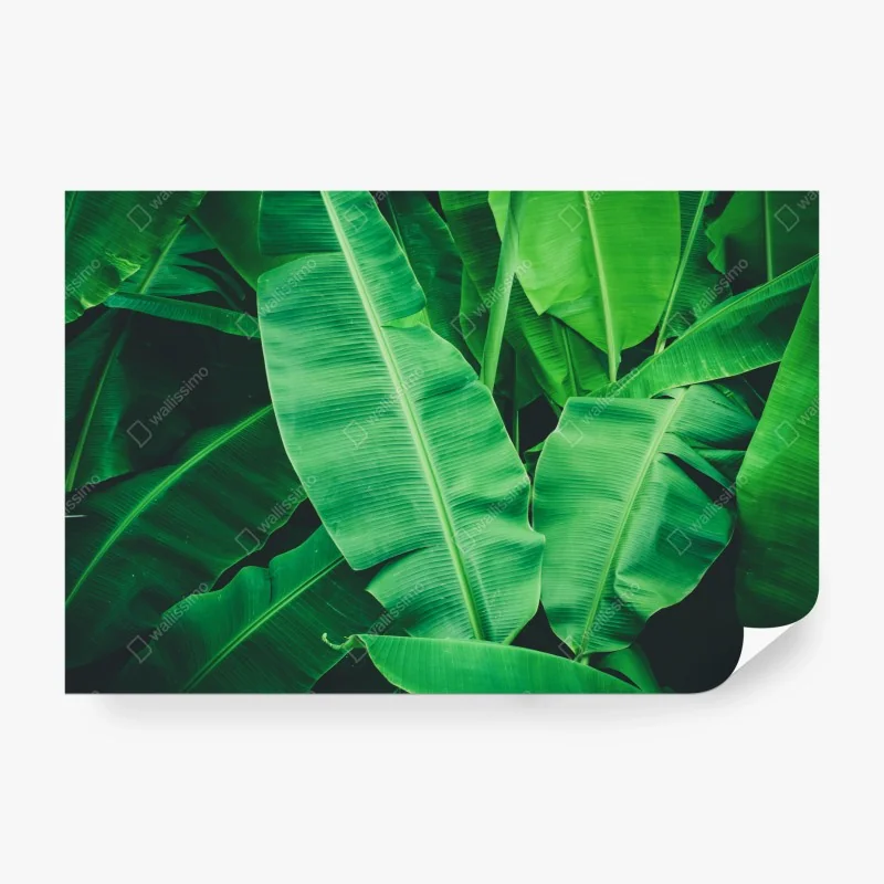 Fototapete leuchtende tropische vögel und blumen – Wallnifity®