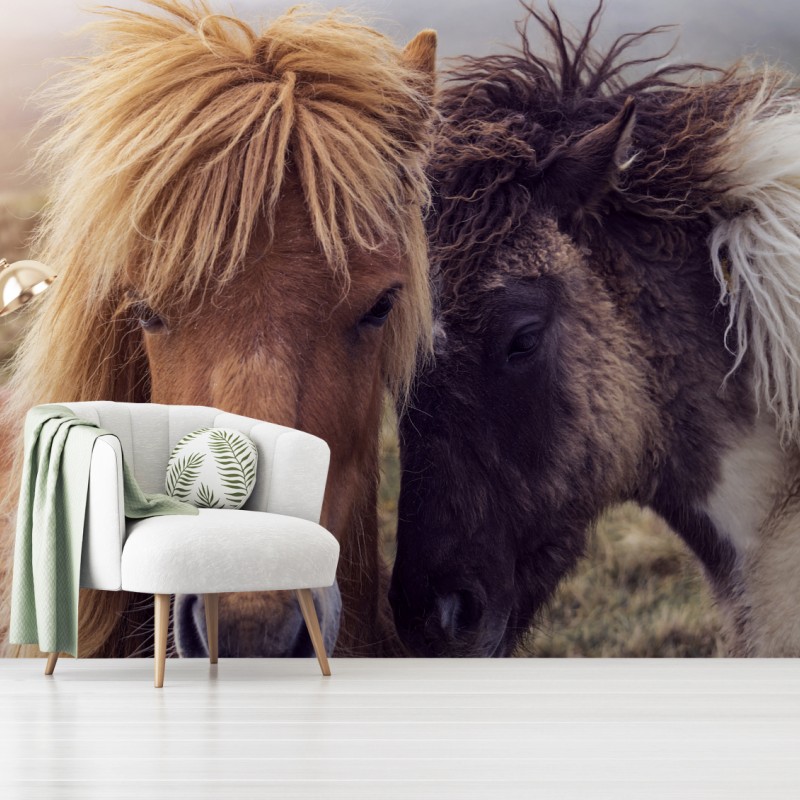 Fototapete zwei pferde auf einem nebligen hügel, Färöer-Inseln