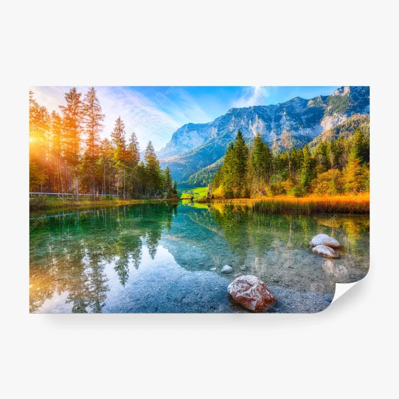 Fototapete aquarellmuster mit vogelbeeren – Wallnifity®