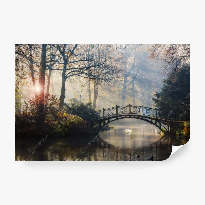 Fototapete neblige herbstbrücke mit schwan – Wallnifity® Fototapete neblige herbstbrücke mit schwan – Wallnifity®