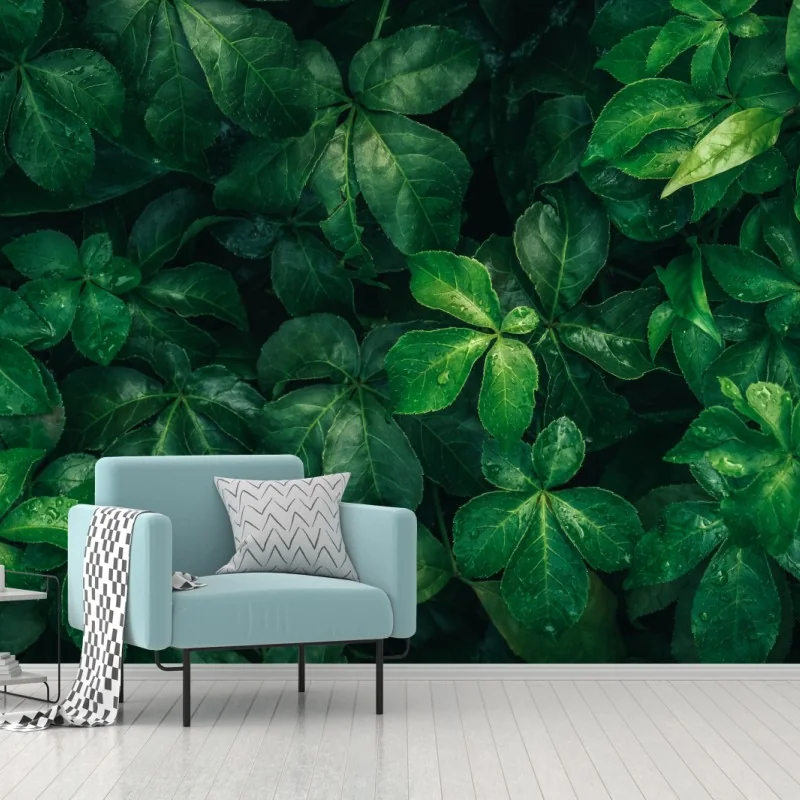 Fototapete üppiges tropisches grünes laub