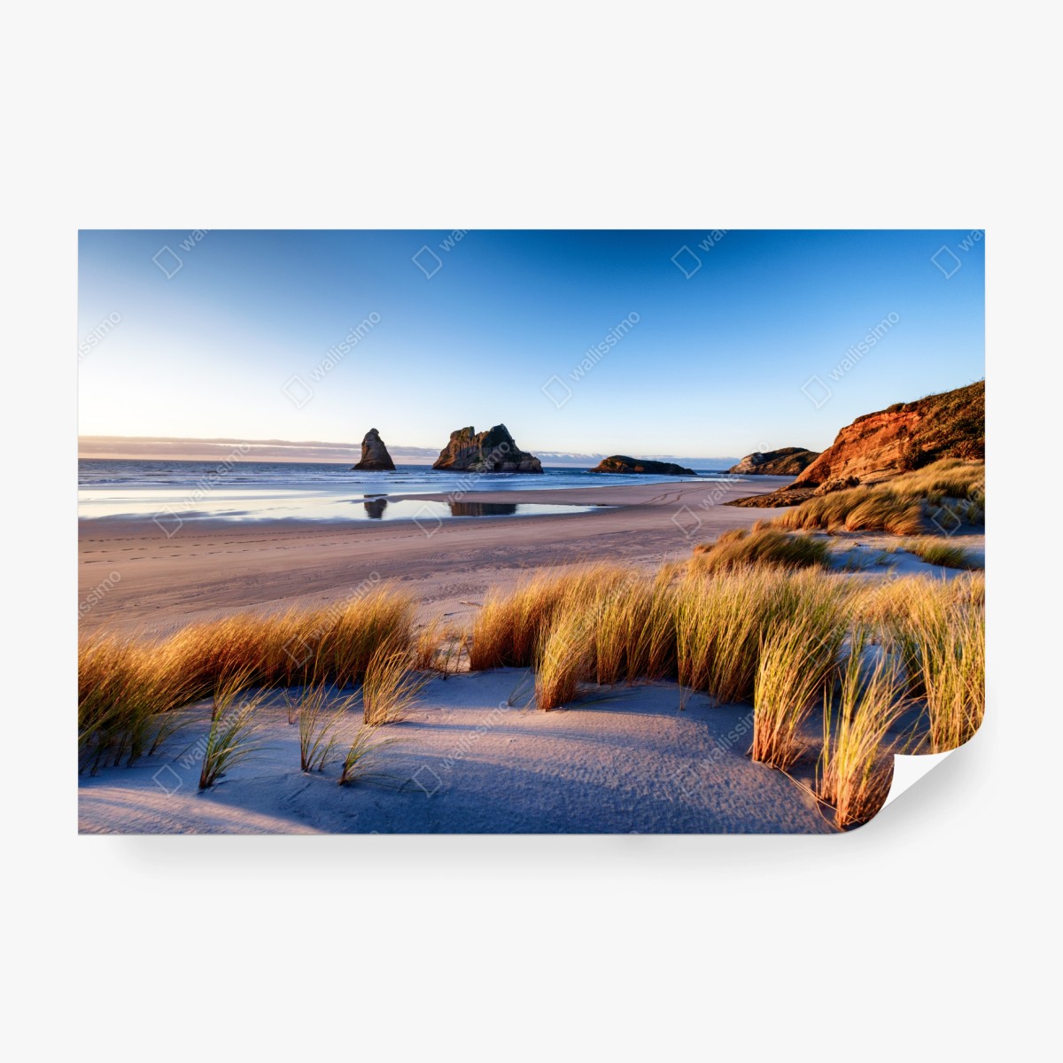 Fototapete Wharariki Beach friedliche küstenlandschaft im morgenlicht – Wallnifity® Fototapete Wharariki Beach friedliche küstenlandschaft im morgenlicht – Wallnifity®