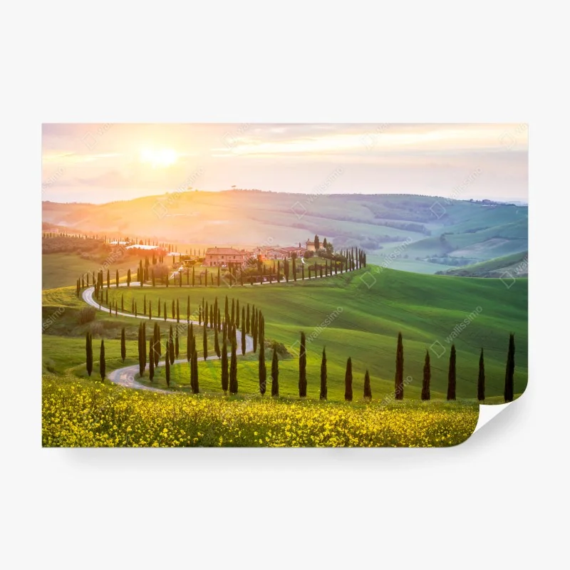 Fototapete panorama von Boston bei sonnenuntergang mit Zakim und Tobin brücken – Wallnifity®