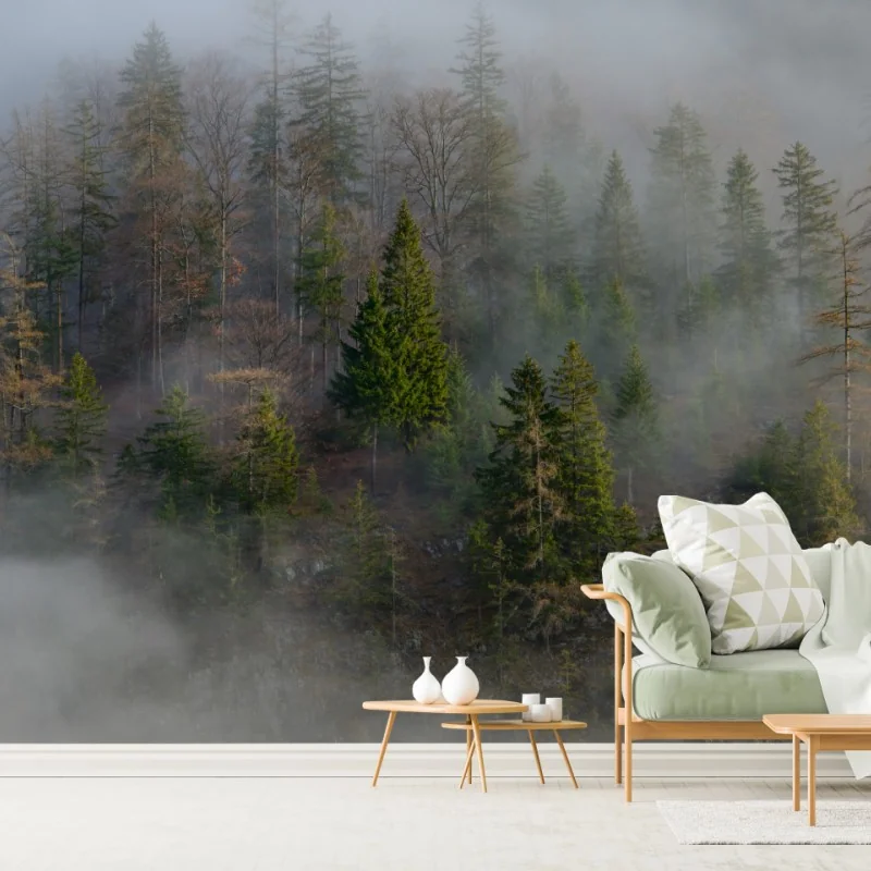 Fototapete nebliger bergwald – Wallnifity®