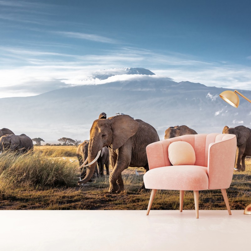 Fototapete elefantenherde vor Kilimandscharo – Wallnifity® Fototapete elefantenherde vor Kilimandscharo – Wallnifity®