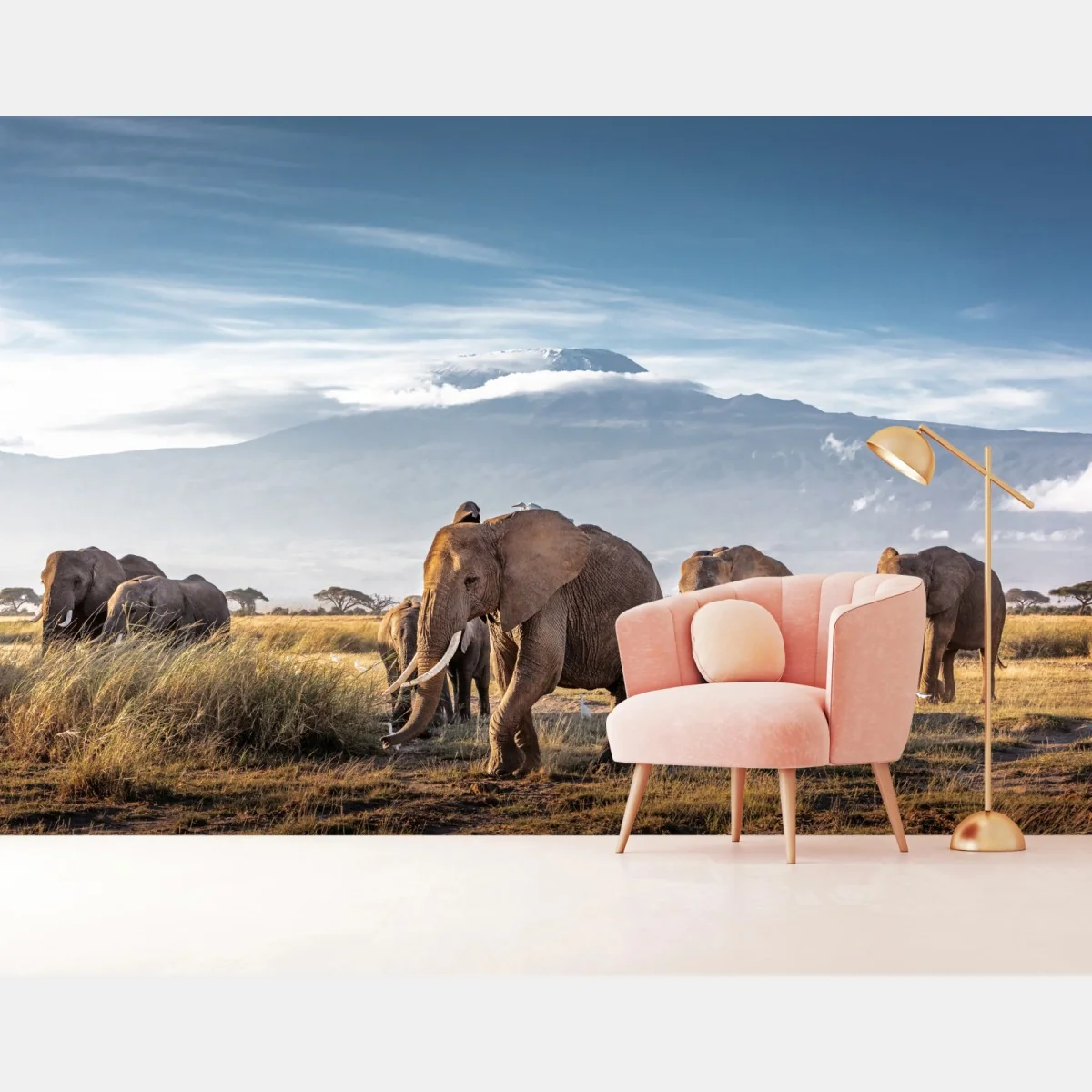 Fototapete elefantenherde vor Kilimandscharo – Wallnifity® Fototapete elefantenherde vor Kilimandscharo – Wallnifity®