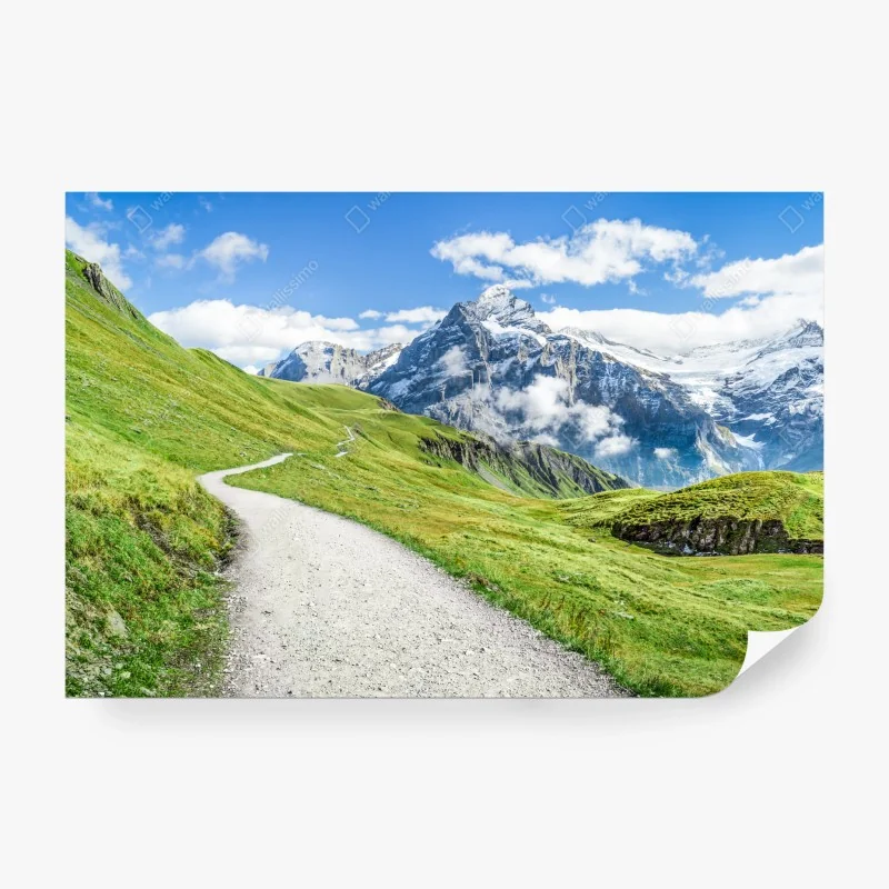 Fototapete tropischer palmenstrand – Wallnifity®