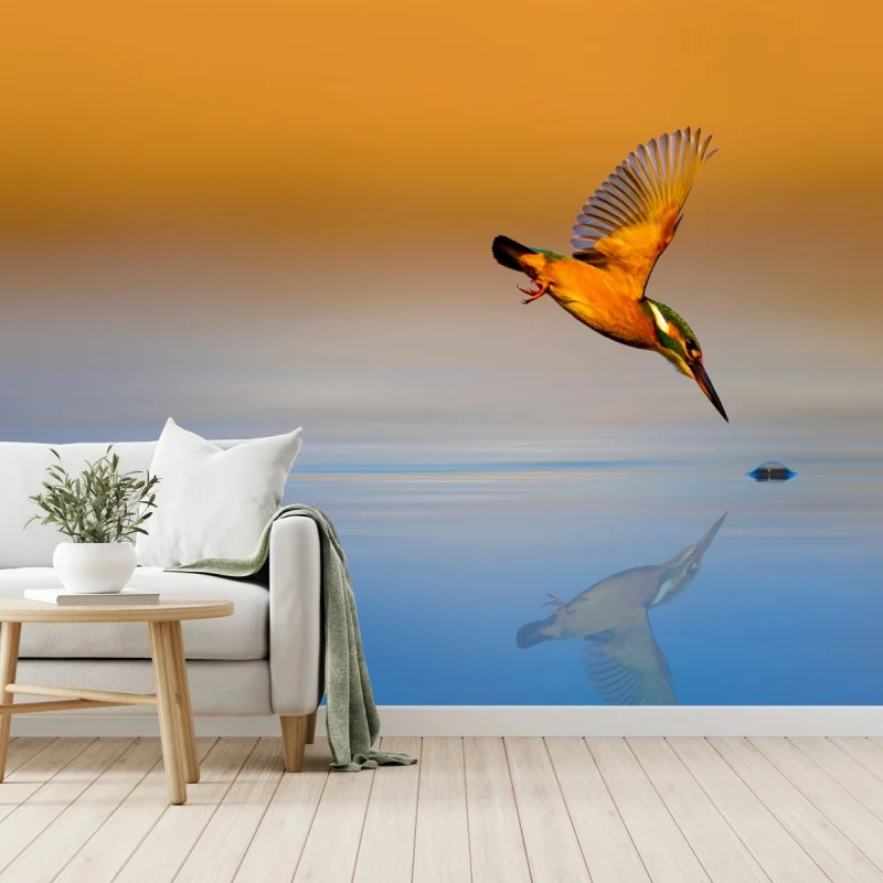 Fototapete eisvogel beim tauchen über spiegelndem wasser – Wallnifity® Fototapete eisvogel beim tauchen über spiegelndem wasser – Wallnifity®