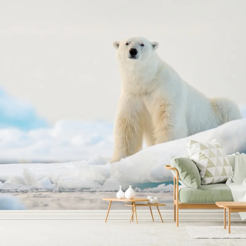 Fototapete eisbär auf eis in der Arktis, Svalbard