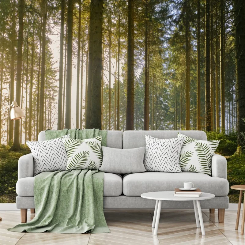 Fototapete sonniger waldweg im morgenlicht – Wallnifity® Fototapete sonniger waldweg im morgenlicht – Wallnifity®