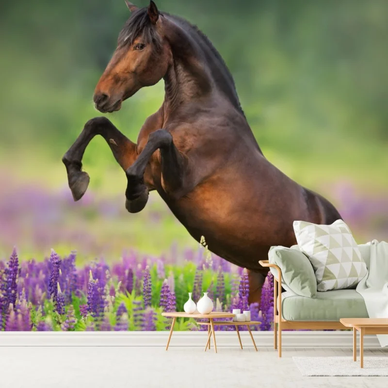Fototapete brauner hengst bäumt sich in lupinenwiese auf