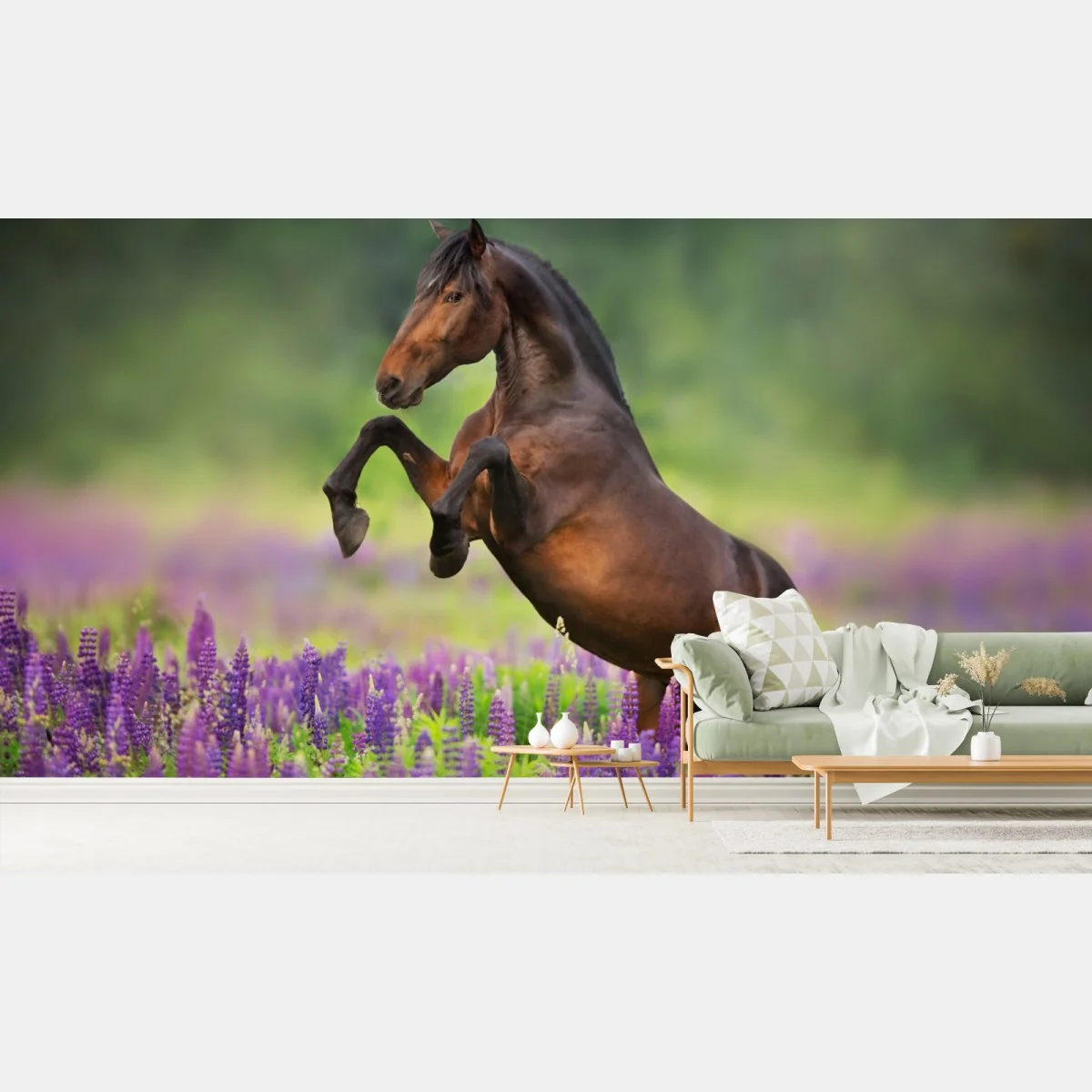 Fototapete brauner hengst bäumt sich in lupinenwiese auf – Wallnifity® Fototapete brauner hengst bäumt sich in lupinenwiese auf – Wallnifity®