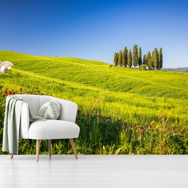 Fototapete sonnige grüne hügel mit zypressen